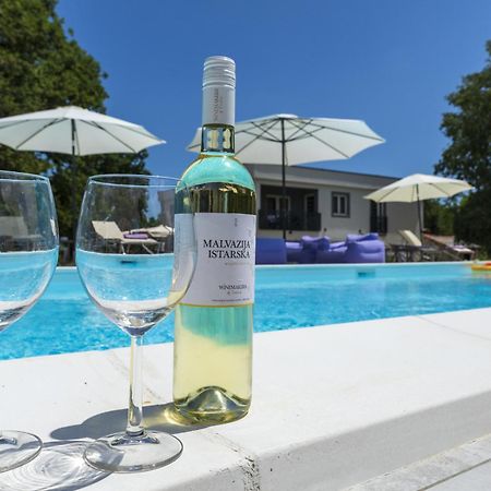 Luxury Villa Cetiri Hrasta Pican Экстерьер фото