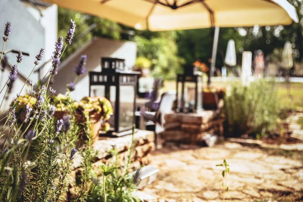 Luxury Villa Cetiri Hrasta Pican Экстерьер фото