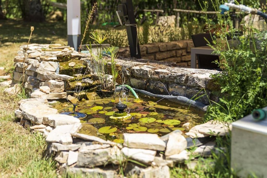 Luxury Villa Cetiri Hrasta Pican Экстерьер фото