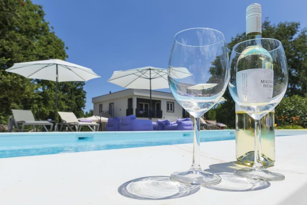 Luxury Villa Cetiri Hrasta Pican Экстерьер фото
