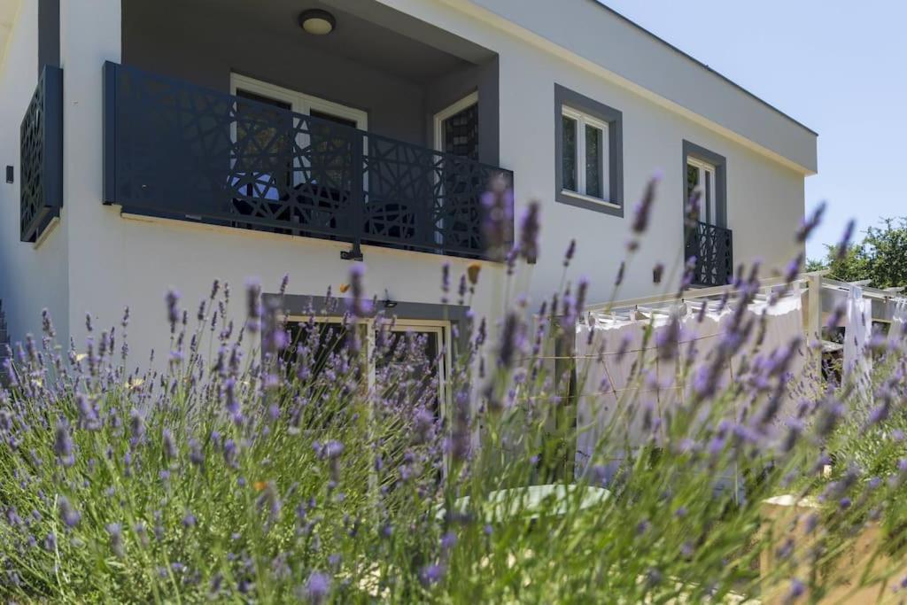 Luxury Villa Cetiri Hrasta Pican Экстерьер фото