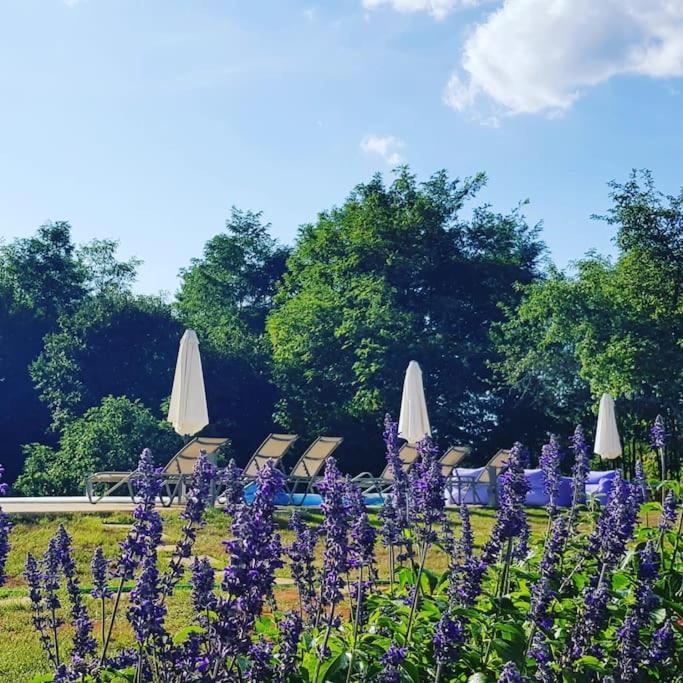 Luxury Villa Cetiri Hrasta Pican Экстерьер фото