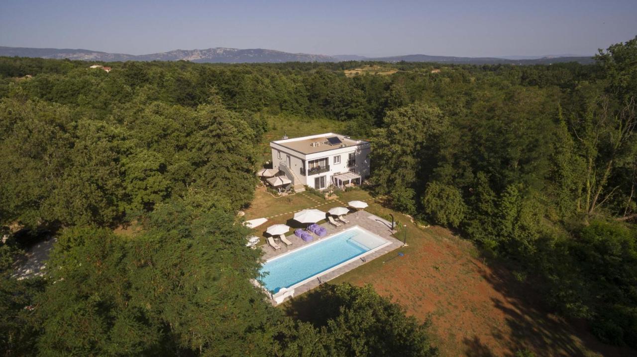 Luxury Villa Cetiri Hrasta Pican Экстерьер фото